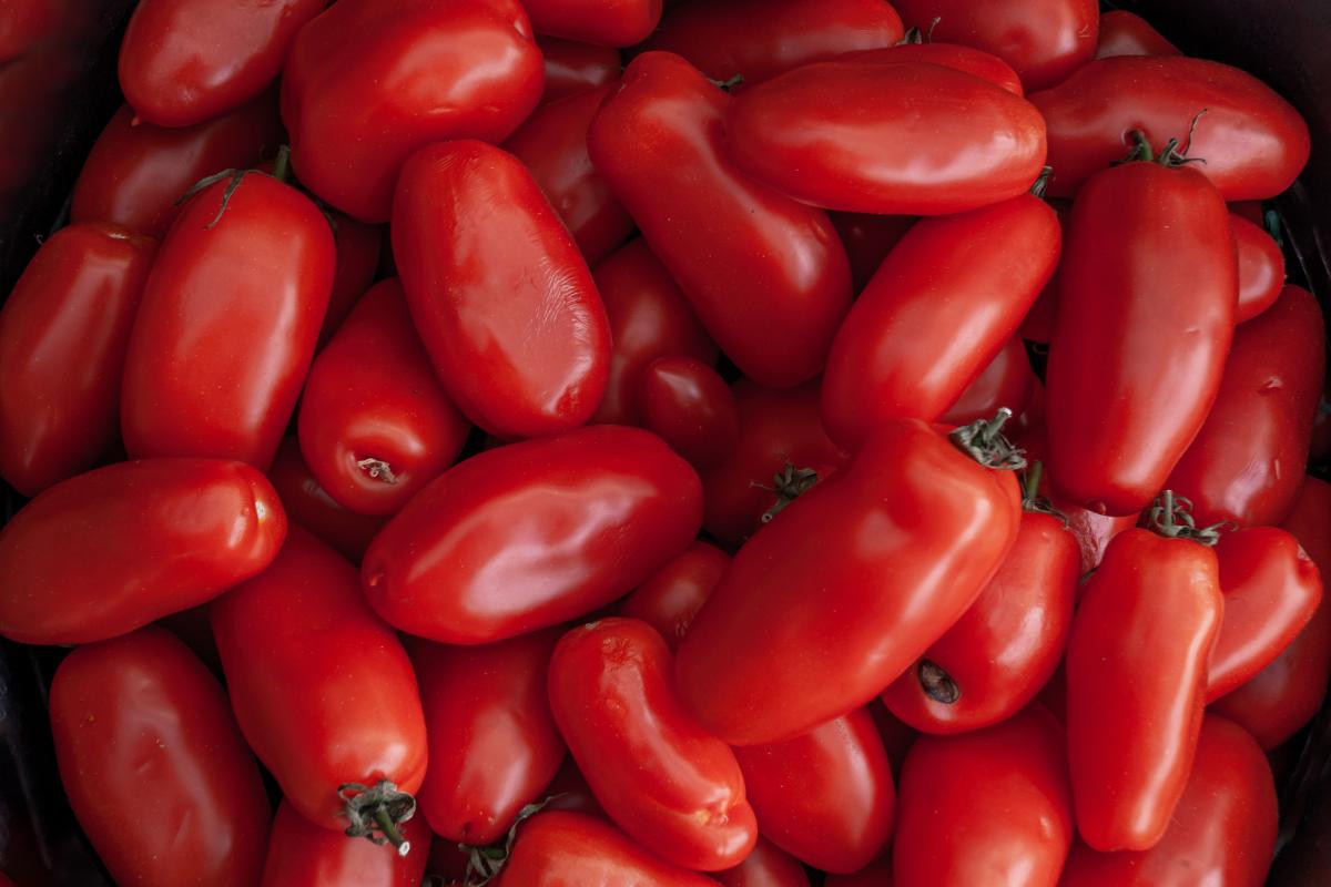 San Marzano Tomatoes .jpeg